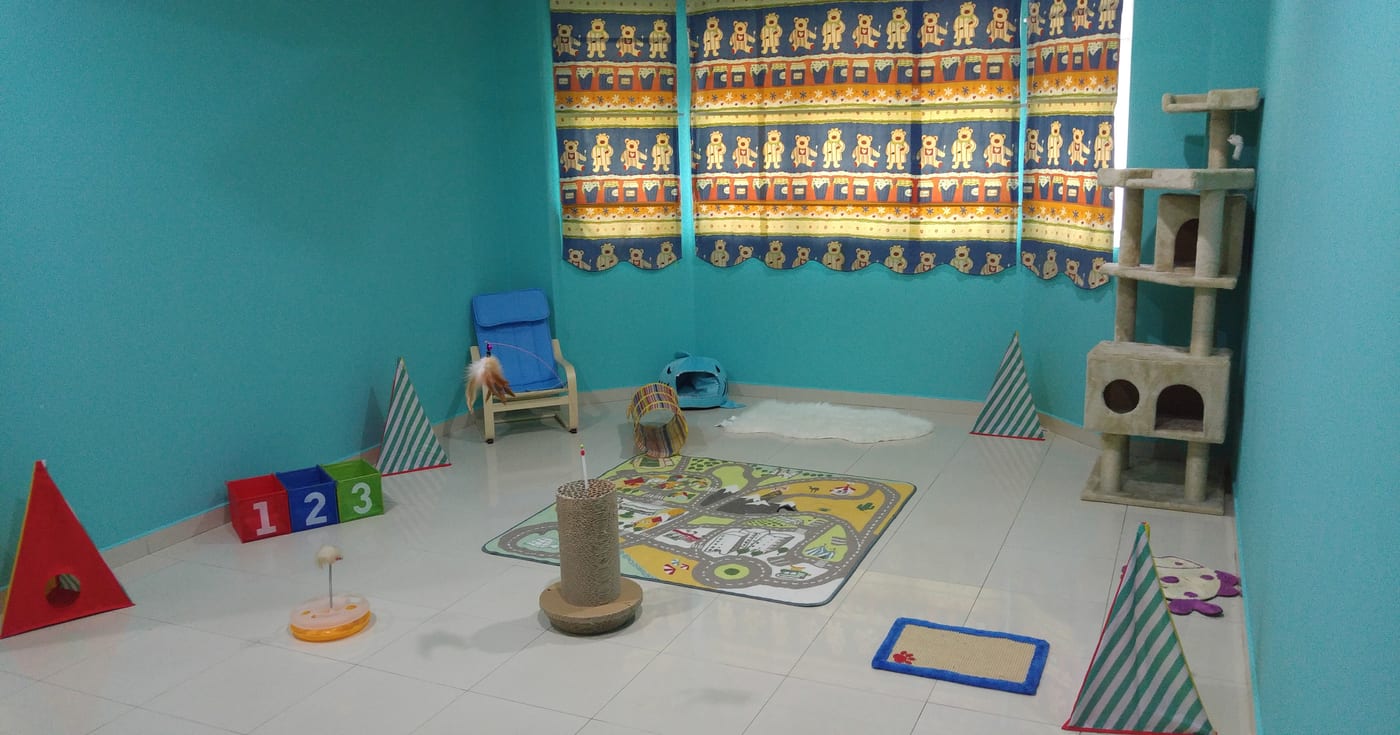 The play room with a cat tree, toys and soft mats