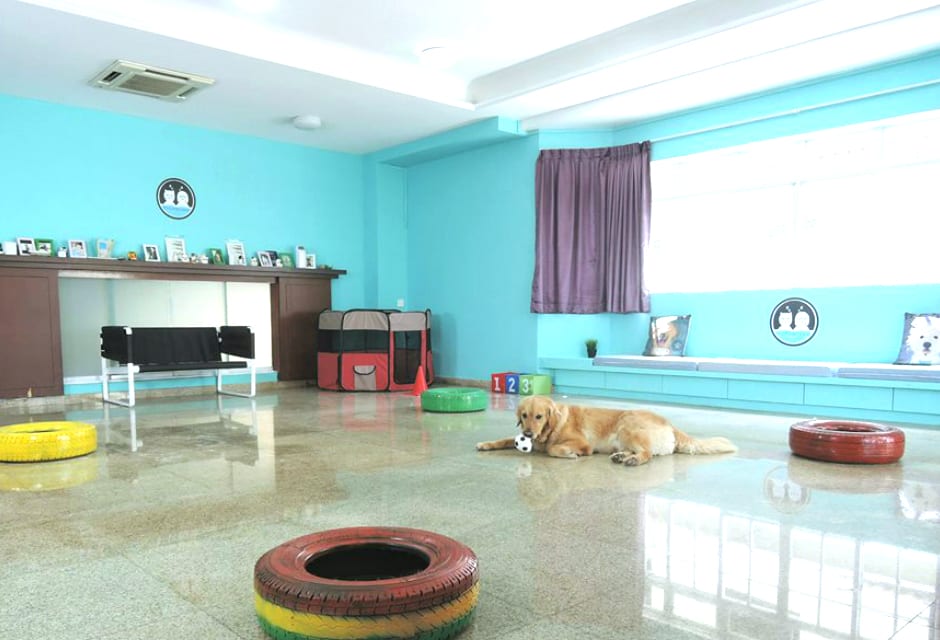 The play room used for training